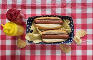 deux hot-dogs sur des petits pains avec des frites sur une table à carreaux rouge et blanc photo