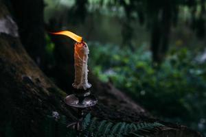 bougie allumée dans la forêt enchantée. concept occulte, ésotérique. photo