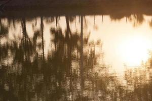 des arbres vert foncé reflètent la surface du soir du lac d'eau douce, avec une atmosphère tranquille, une douce lumière du soleil et des arbres chauds et abondants. photo