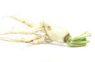 radis cultivés de manière biologique qui sont cultivés pour manger et pour la vente - dans le jardin d'un agriculteur sur fond blanc comme régime sain et végétalien, pris dans mon home studio. photo