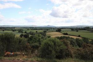 une vue sur la campagne du shropshire depuis la colline de lyth près de shrewsbury photo