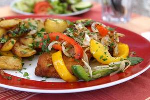 plat de schnitzel allemand photo