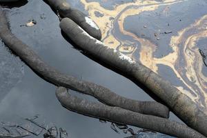 déversement de pétrole brut sur la plage photo