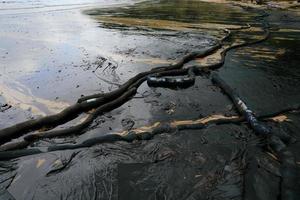 déversement de pétrole brut sur la plage photo