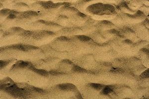 texture de sable sans soudure de haute qualité photo