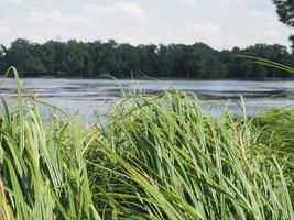 Lac Kleiner Dutzendteich à Nuremberg photo