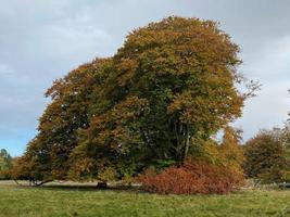 une vue sur la campagne du cheshire près de knutsford photo