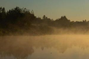 matin brumeux sur une rivière européenne avec de l'herbe verte fraîche au soleil. les rayons du soleil à travers l'arbre. photo
