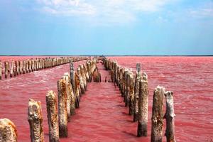 lac salé rose exotique et ciel bleu avec des nuages. photo