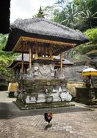temple de gunung kawi photo