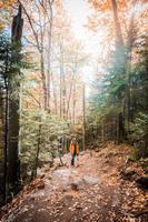 homme randonnée dans la forêt photo