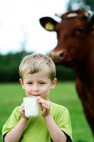 jeune garçon, boire lait, devant, a, vache