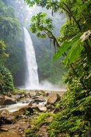 cascade de la forêt tropicale
