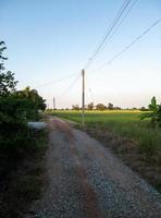 le petit chemin de terre le long de la rizière près du village de campagne photo