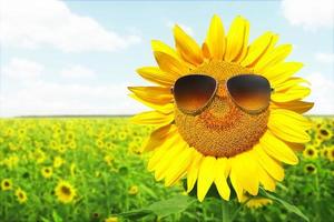 tournesol drôle avec des lunettes de soleil sur un ciel bleu photo