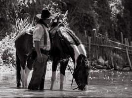 cowboys seniors se reposant avec des chevaux et se baignant dans la rivière photo