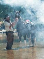 cowboys seniors se reposant avec des chevaux et se baignant dans la rivière photo