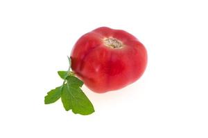 tomate isolé sur fond blanc photo