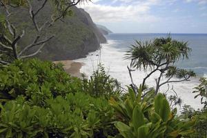 littoral accidenté et falaises de kauai, hawaï
