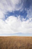 cloudscape on prairie photo