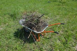 nettoyage des branches sèches sur un chariot de chantier dans le jardin photo