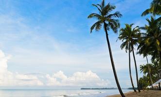 plage paradisiaque de l'île tropicale parfaite photo