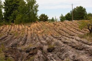 labourer l'herbe comme moyen de lutte contre les incendies de forêt. photo