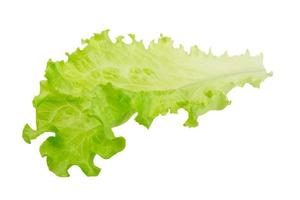 feuilles de salade sur fond blanc photo