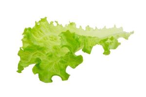 feuilles de salade sur fond blanc photo