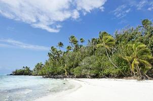 Paysage de l'île de Rapota dans les îles Cook de la lagune d'Aitutaki