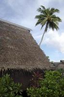 Maisons polynésiennes traditionnelles dans les îles Cook de la lagune d'Aitutaki photo