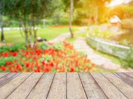 table en bois vide avec fond naturel parc jardin flou photo