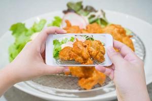 poulet frit à la japonaise photo