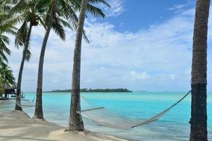 hamac sur une île tropicale photo