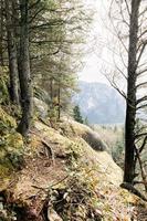 vue sur la forêt de montagne photo