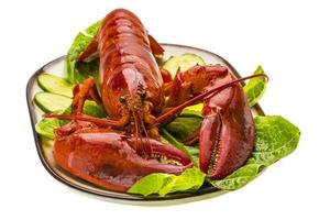 gros homard sur fond blanc photo