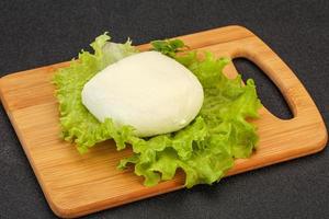 fromage mozzarella italien par-dessus bord photo