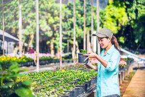 la fille étudie et sauve le changement d'arbres, fleurs beau fond de fleurs de jardin chez les agriculteurs de la nature photo