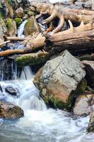 paysage avec des arbres tombés sur la rivière. petite cascade en pierres et roche. gros plan de l'eau. photo