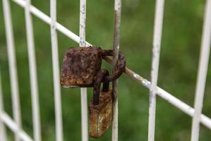 cadenas rouillés sur une clôture photo