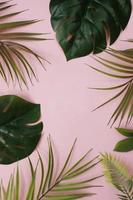feuilles de palmier tropical sur fond rose pour le design. style été. image de haute qualité. vue de dessus photo