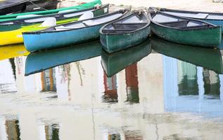 le marais poitevin photo