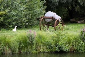 le marais poitevin photo