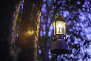 lampe à huile antique accrochée à un arbre dans la forêt dans l'atmosphère de camping du soir.image de concept de plein air de voyage.mise au point douce. photo