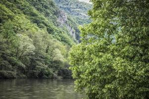 belle nature sur les rives de la rivière morava occidentale en serbie photo