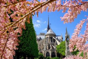 Notre Dame au printemps à Paris, France photo