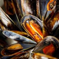 moules fraîches en coquillages repas de fruits de mer sur la table copie espace fond alimentaire rustique photo