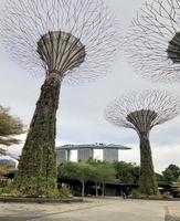 singapour 3 juillet 2022 jardin près de la baie dans la ville de singapour. l'une des attractions touristiques les plus célèbres de singapour. photo