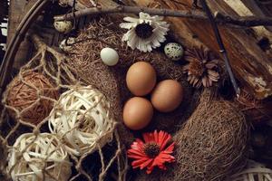 Oeufs de caille sur un fond de bois vintage photo