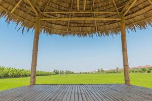 les cabanes en bois dans une rizière verte dans le domaine un vaste domaine photo